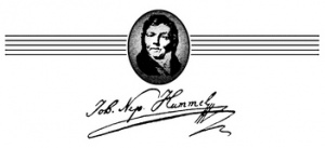 5th Johann Nepomuk International Competition | Slovenská filharmónia