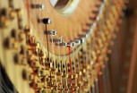 Harp Stringed Tension Concert Classical String