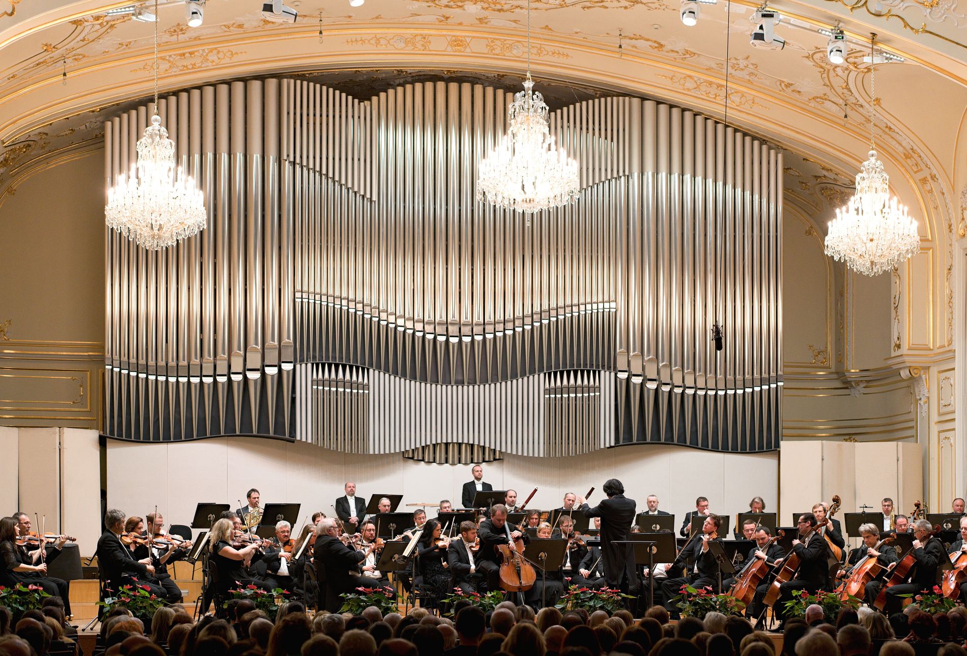 24 SF Ang_Zhilin 09 01 2020 © jan.f.lukas