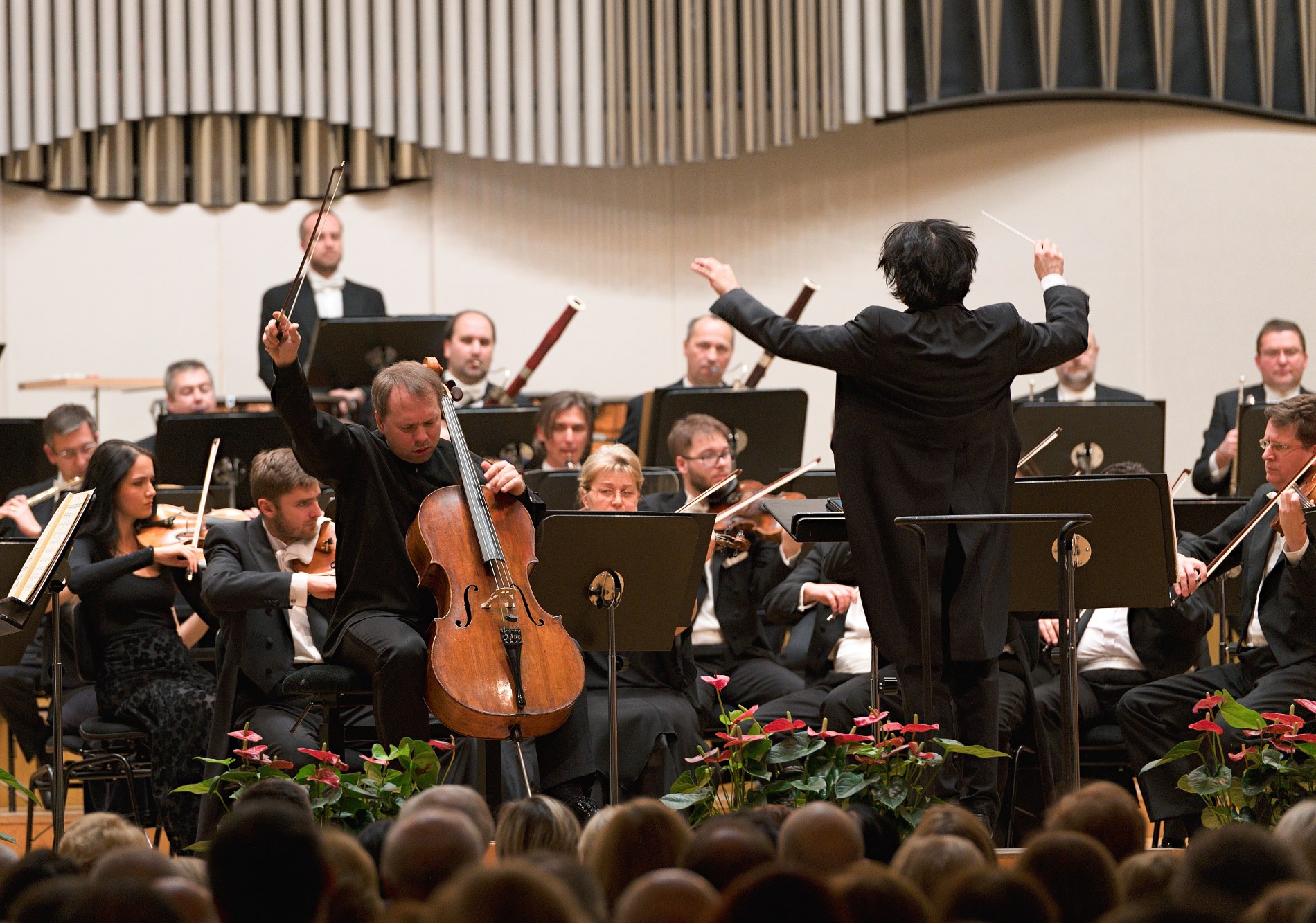 25 SF Ang_Zhilin 09 01 2020 © jan.f.lukas