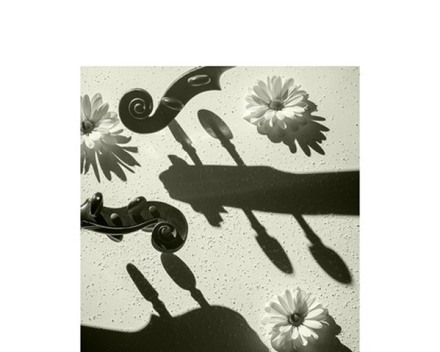  POĎAKOVANIE abonentom a návštevníkom 72. koncertnej sezóny - 2020-03-14_HUSLE-42 