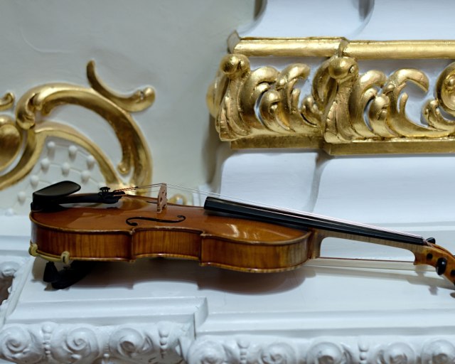 Telesá SF vystúpia v Nitre - 8 SF Juraj Cizmarovic 12 01 2017 © jan.f.lukas 