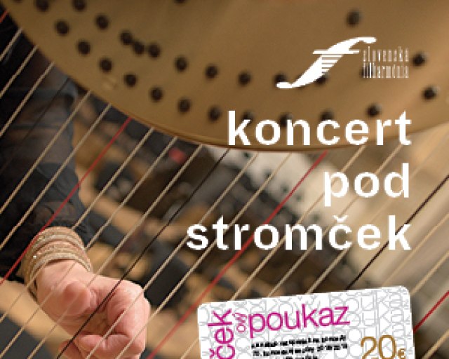 Zabaľte tento rok pod stromček HUDBU - Trend Vianočná poukážka SF 2018 baner 300x300px 