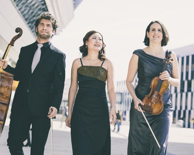 Hudobná mozaika v Malej sále SF - Trio Alba foto 