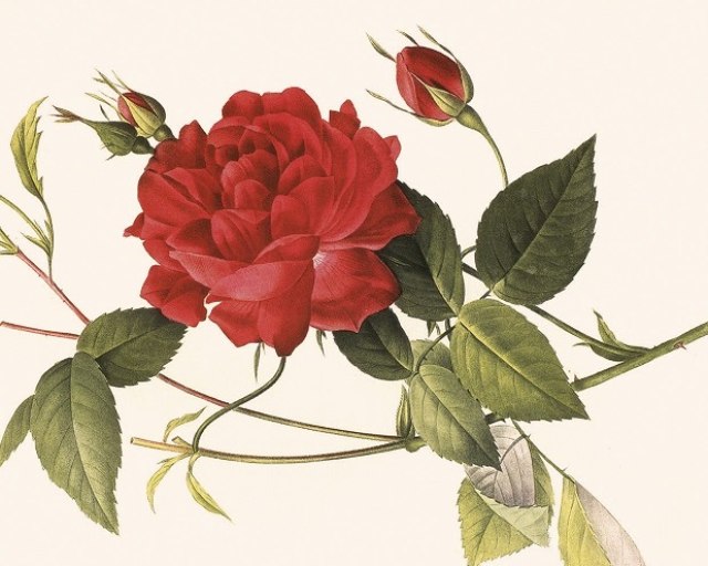 Koncert v rámci festivalu Dni starej hudby 18/ Florilegium hudobných štýlov - DSH-A6-2018-FORMAT-FIN 