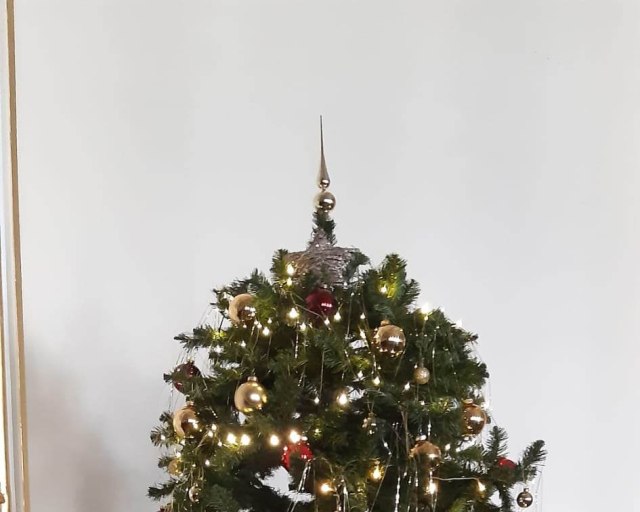 POKLADNICA SF, otvorená - vianočný stromček 