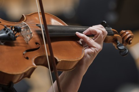 May 6th 2026 Slovak Philharmonic Orchestra Auditions – tutti player of viola group - 059 Orchester foto A Trizuljak w 