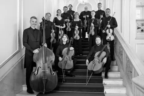 Slovenský komorný orchester